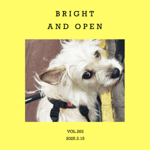 vol.262：踩上踏板，人生豁然！