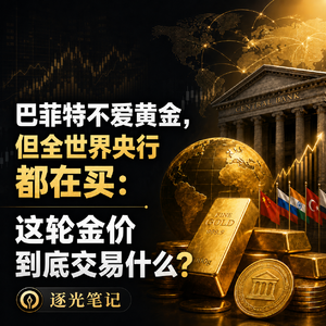 VOL.4|巴菲特不爱黄金,但全世界央行都在买:这轮金价到底交易什么?
