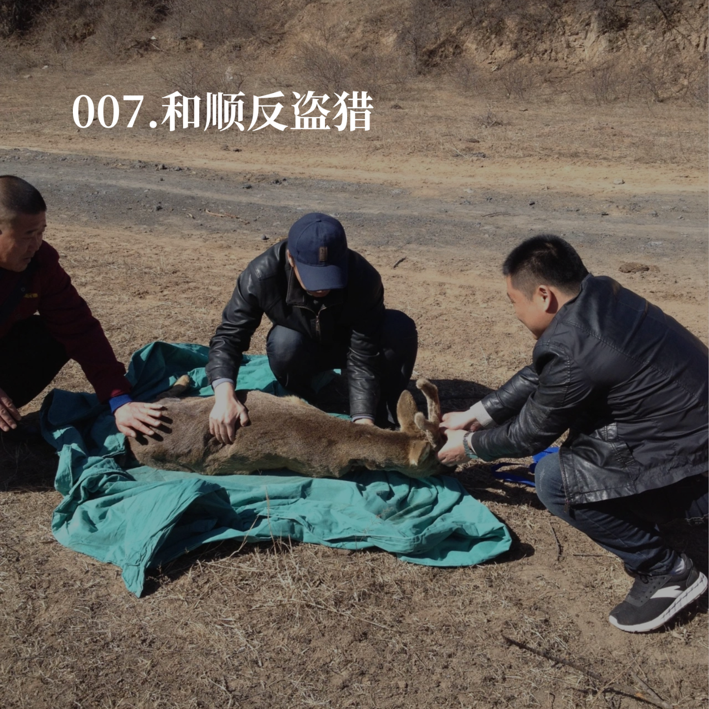 007.反盗猎：一件投入很多，又不能多讲的事 episode artwork