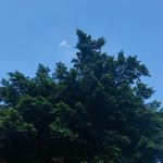 听听他们说什么呢