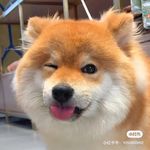 等待放学ing