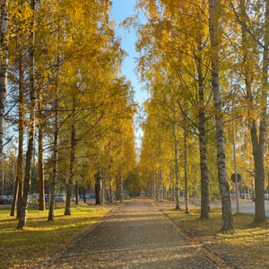 05 作业压力和应试教育,不能说给孩子听?