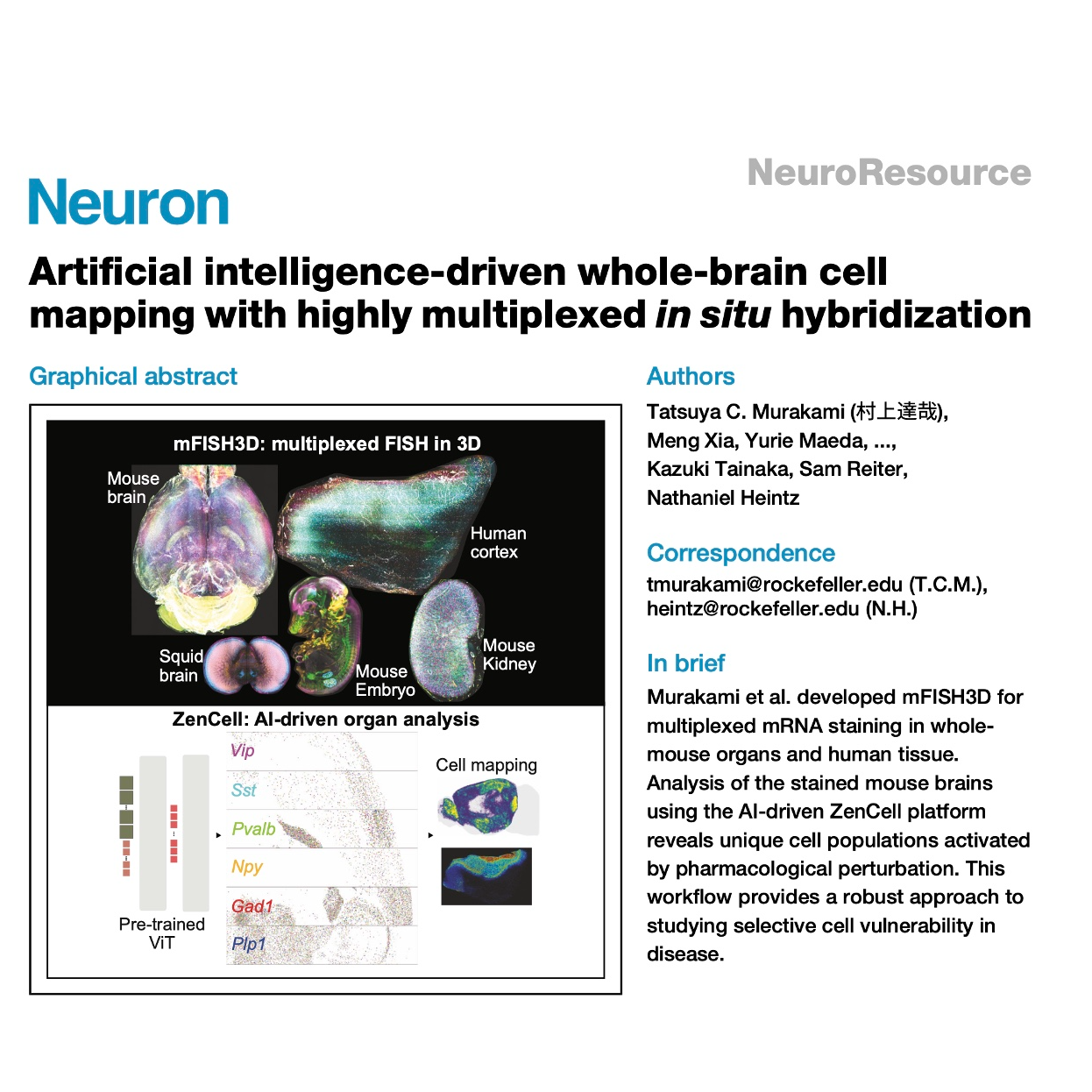 654-mFISH3D: AI-Driven Whole-Organ Spatial Mapping episode artwork