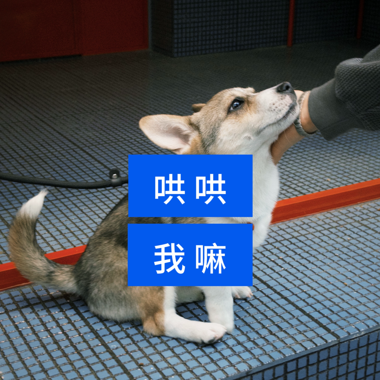 📸️40: heī, 哄不哄我啊你到底 episode artwork