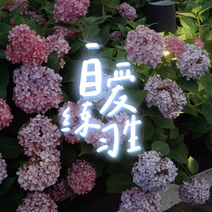 E132. 人生别后悔！20岁趁早开始做的5件小事