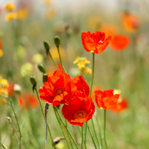 《秘密账号》，不要借由身体来填补内心空洞