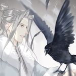 劁猪
