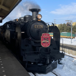 Vol.2 一个人的北海道之旅 | 道东（上）：在日本丢了旅行包？！别慌，先撸会猫！