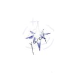 星星yael