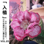 Vol.05 【入植】没有猫撸我可以撸苦苣苔，快来入坑苦科植物吧！