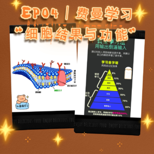 EP04 | 费曼学习记录一则,“细胞结构与功能”一集拿下!