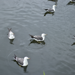 防卫过当到底怎么判？