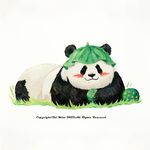 PandaGuo