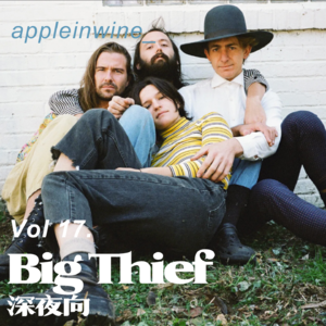 [Vol.17.深夜歌单/Big Thief]谁是我之前最爱的独立乐队？
