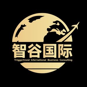 智谷看海外