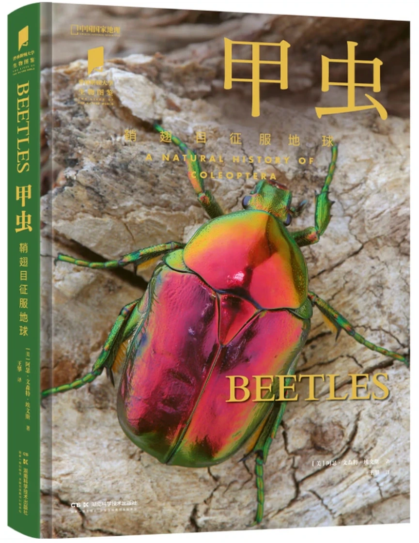 甲虫：鞘翅目征服地球