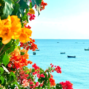 VOL534.她失掉良心了吗？好女人得到名声，坏女人得到一切。