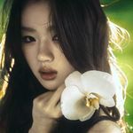 沪妲单尼