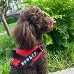 为了哎哟嚯下载宙