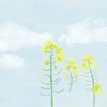 西西097