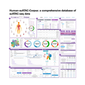 528-Human-scATAC-Corpus:单细胞表观基因组统一数据库