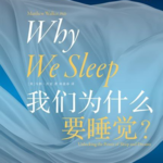 当睡眠成为社会问题，我们该怎么办？
