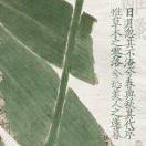 層層霧裏層層山