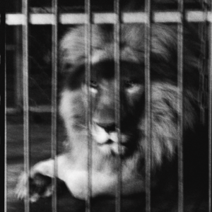 短剧|从偷看的羞耻,到安利的勇气