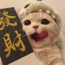 无敌骚包包