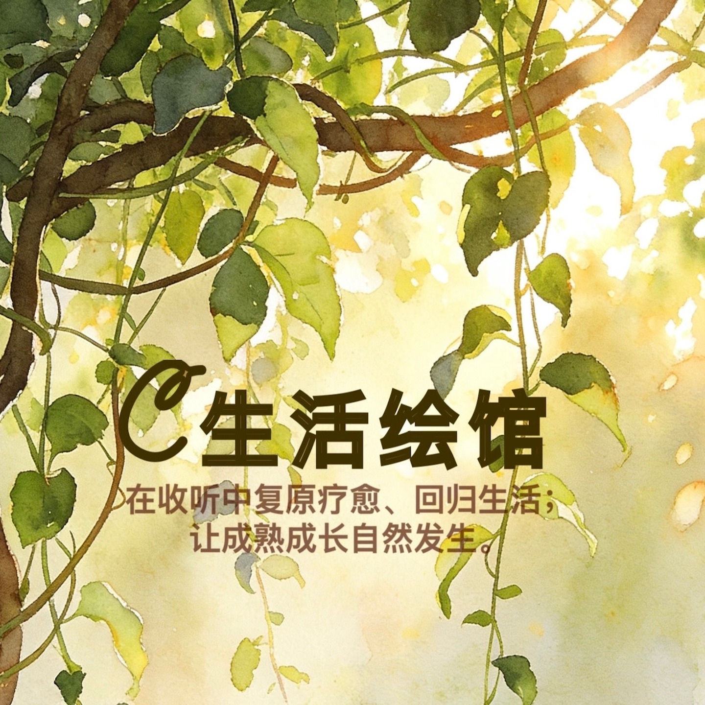 C生活绘馆 podcast artwork