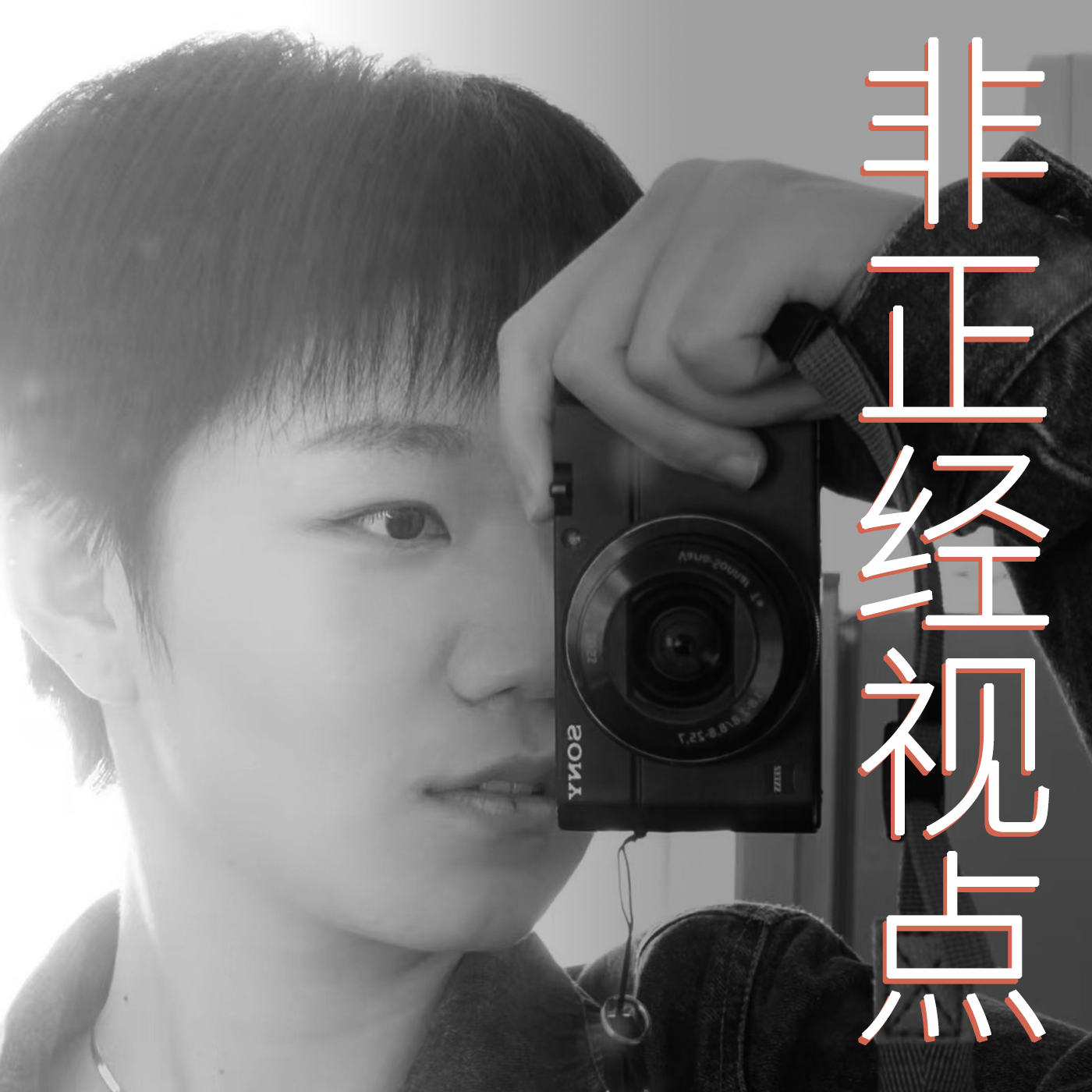 非正经视点