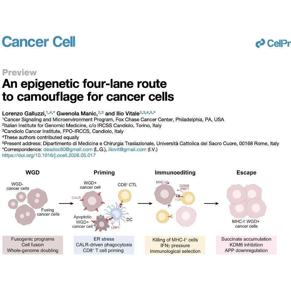 1203-Epigenetic Routes to Cancer Cell Camouflage episode artwork