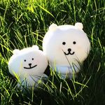 高能阳光小池子