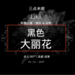 Ep3. 星光黯淡在光影边 / 黑色大丽花案
