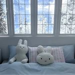 咕宝今天说晚安了吗