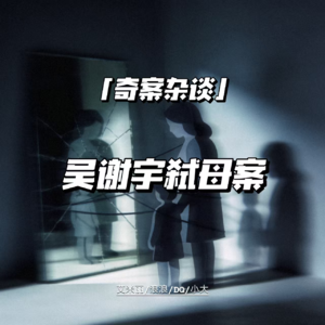 吴谢宇弑母案【奇案杂谈70】