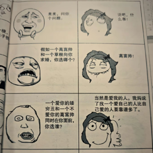 Ai问答录|从暴走漫画到meme文化
