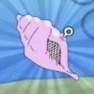 来问问神奇海螺