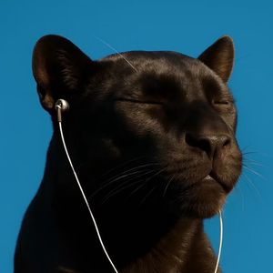 podcaster-avatar
