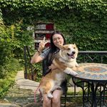穿袜子的机器猫
