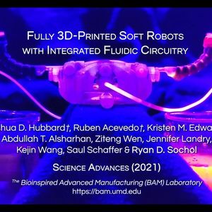 3D 纳米打印流体可控软体机器人