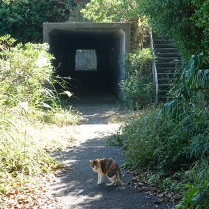 20250803_阅读：间谍小说与英国情报机构