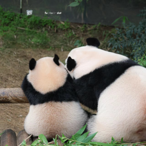 有感而发｜珍惜与家人一起的日子