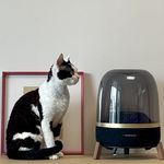 想退休的朱女士