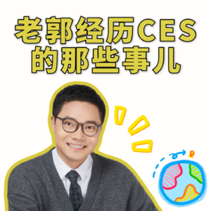 CES复盘:出海北美与AI硬件