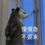 vol.26 所有人生选择的答案，也许是接受万事变化的“无常”