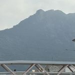书本