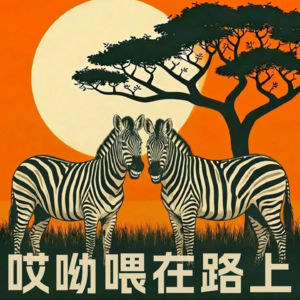 Vol.05 11年12次深度旅行,读懂真实的非洲大陆