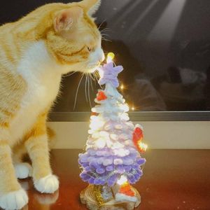 瑩瑩得赢的个人播客