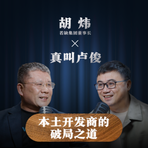 真叫卢俊 × 胡炜｜本土开发商的破局之道